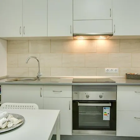 1b Srv アパート ベシンダーリオ